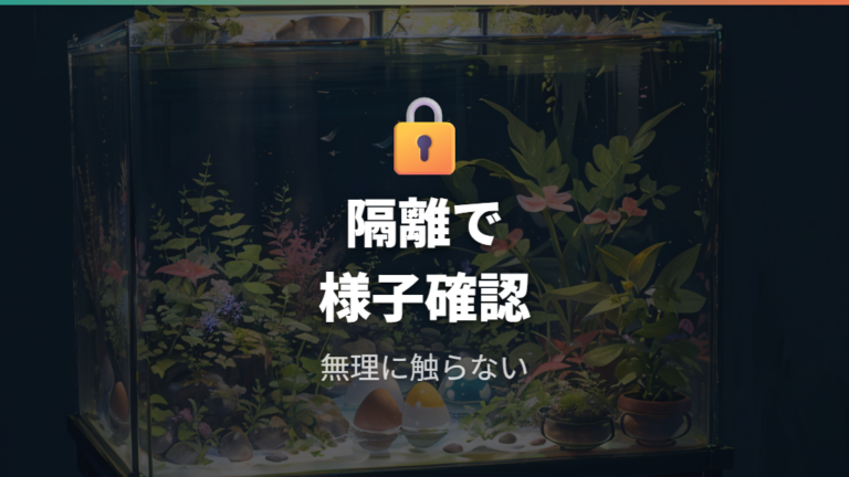 卵が取れないときは短い隔離で産み付けを待つ