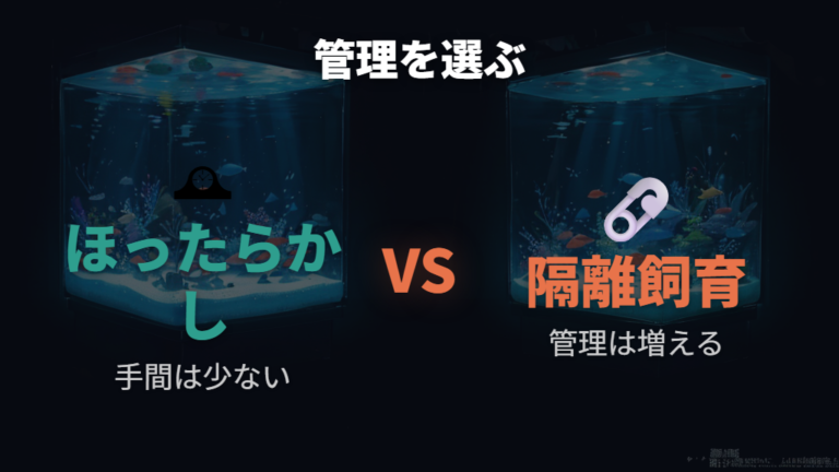 卵を残したいときは放置と隔離の違いを見る