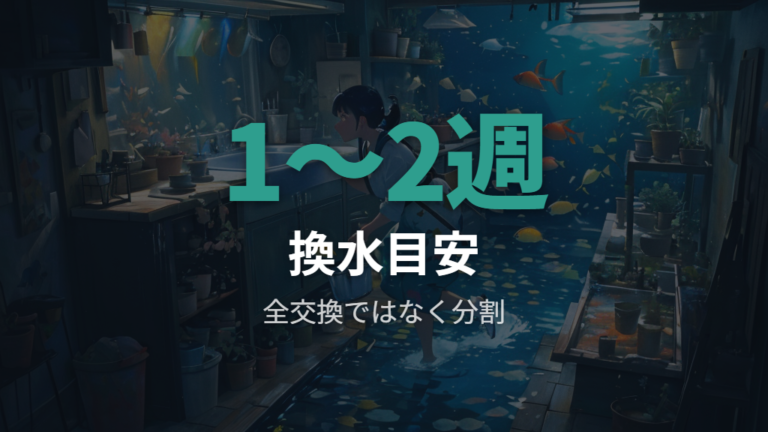 カビを防ぐ水換えとろ過管理は全交換しないのが基本