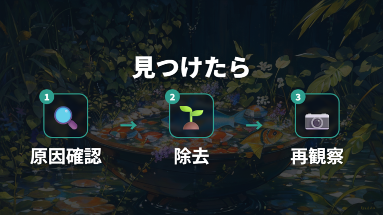 ボウフラやヤゴを見つけたときの対処手順