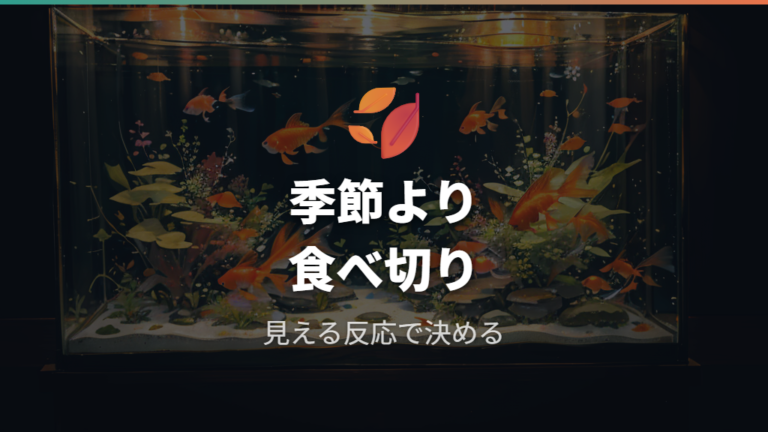 餌をあげる回数と時間帯は季節で変える