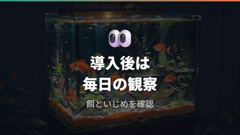 金魚と混泳できる掃除魚でも餌不足といじめを観察する