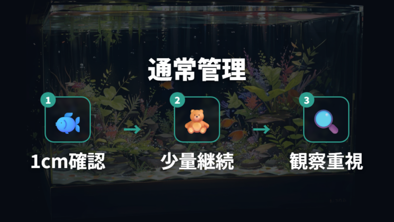 稚魚の水換えはいつから通常管理に近づけるか