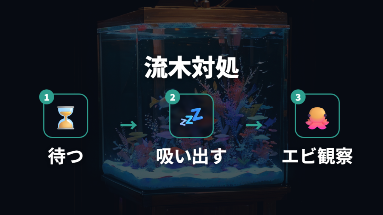 流木に出る白い膜の対処は待つ・吸い出す・観察で分ける