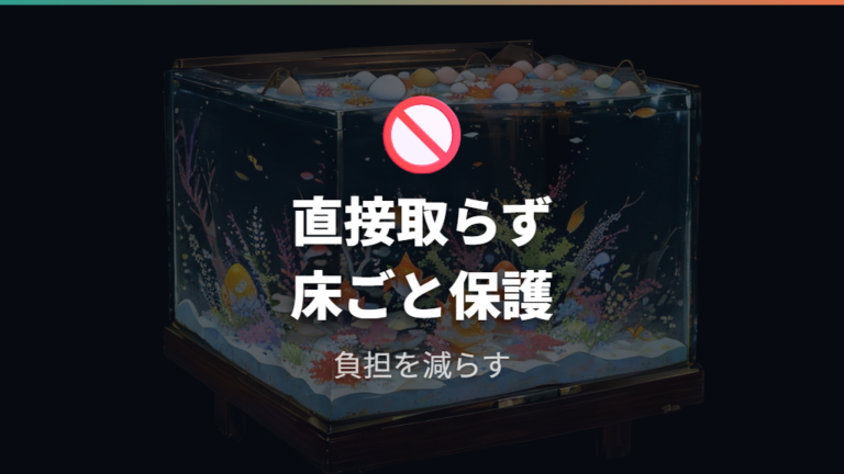 お腹の卵を直接取ってもいい?負担とリスクを考える