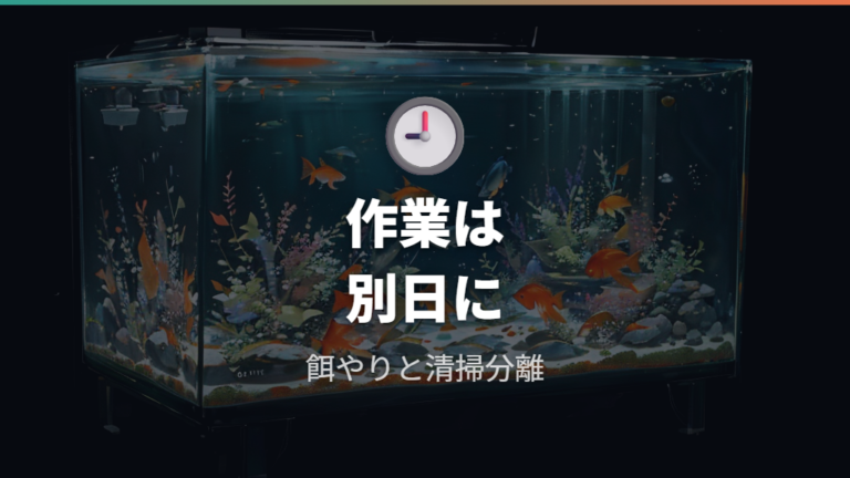 水換え後の餌やりとフィルター掃除は別タイミングにする