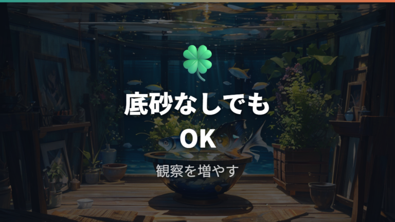 屋外で底砂なしでも本当に大丈夫か