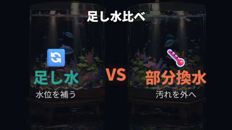 水換え頻度と量の目安は足し水と部分換水を混同しない