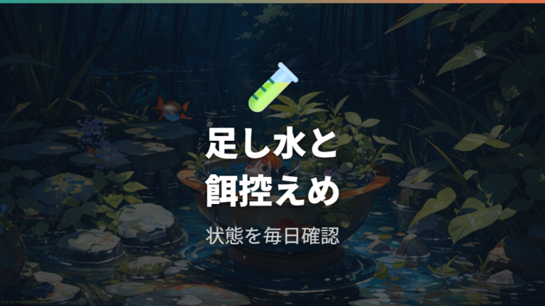 水質を安定させる立ち上げ方の後は足し水と餌を控えめにする