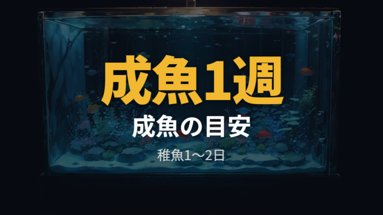 餌なしで何日くらい大丈夫かは成魚と稚魚で違う