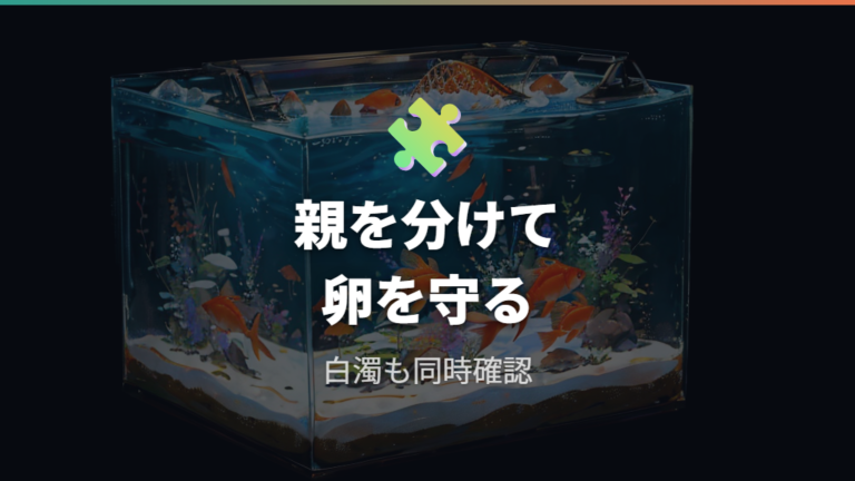産卵後に親を隔離する理由は食卵と水質悪化を防ぐため