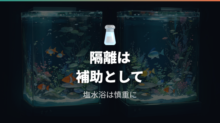 弱った個体は隔離と塩水浴を慎重に検討する