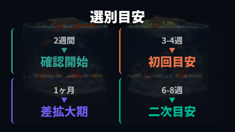 大きさの差と選別のタイミングを比較する