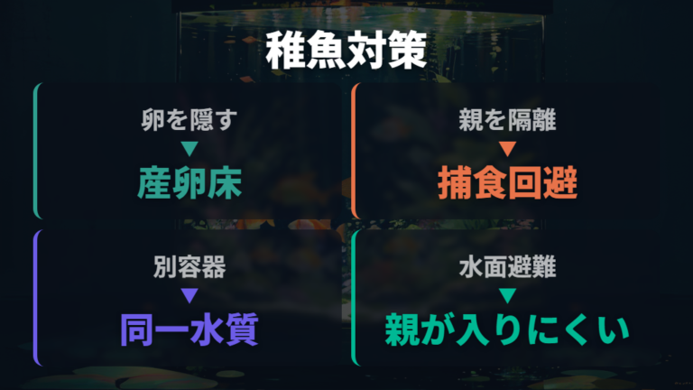 稚魚を守る隠れ家の工夫は隔離と水面近くの避難場所で考える