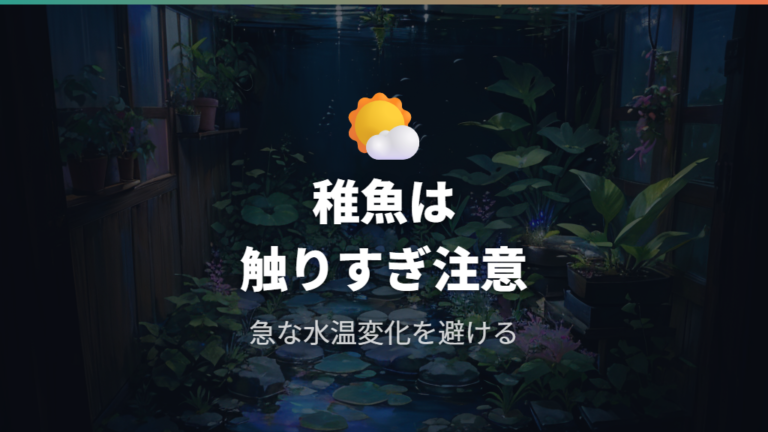 稚魚と屋外飼育での注意点は水温急変と水換えを減らすこと