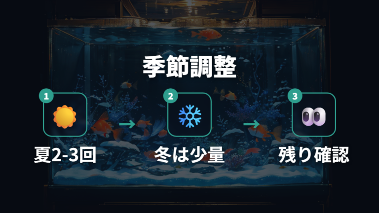 季節で変わるエサの量と回数の目安