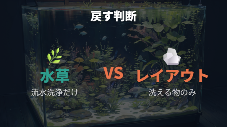 水草やレイアウト素材を戻してもいいか