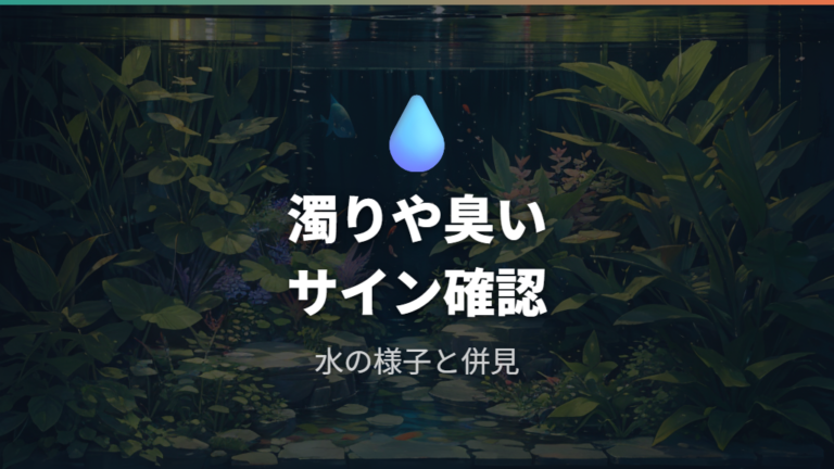 底砂汚れが水質に与える影響は濁りや臭いにも出る