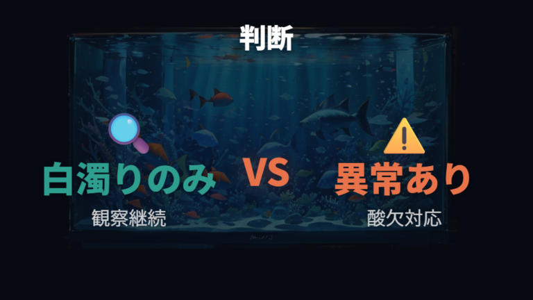白濁り中にエアレーションは必要か生体の様子で判断する