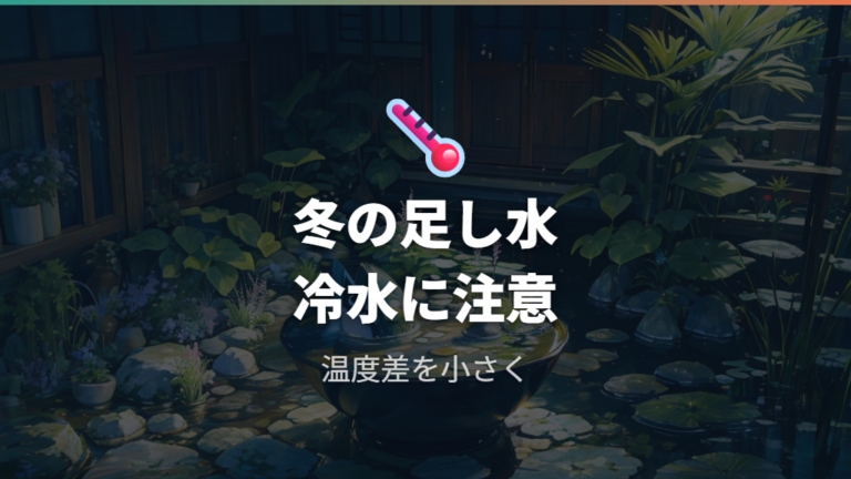 冬の足し水は温度差に注意する