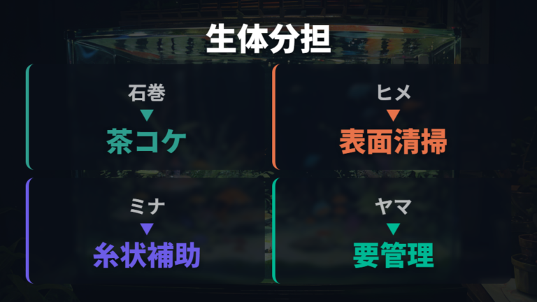 コケ取り生体は貝・エビ・魚の得意分野で選ぶ