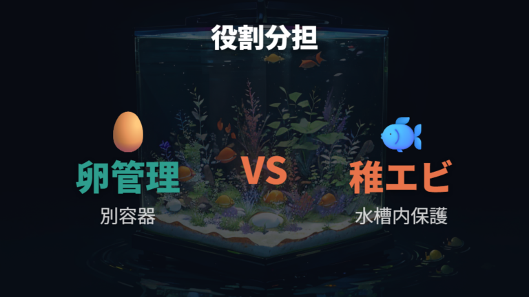 卵と稚エビを同時に守る混泳管理の考え方
