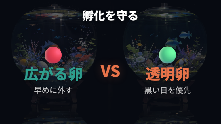カビ卵の周囲に残った有精卵を守る管理は何が違う？