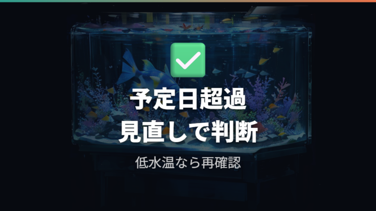 透明なのに孵化しない原因を減らすチェック