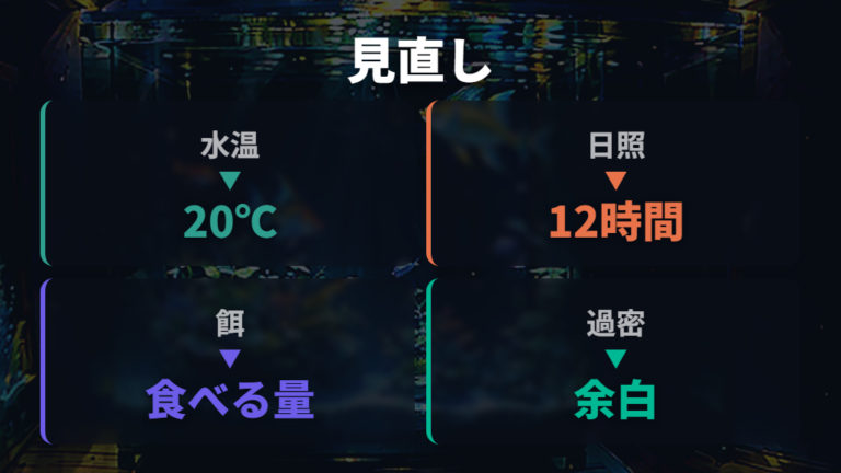 産卵前に見られる行動の変化がない時の見直しポイント