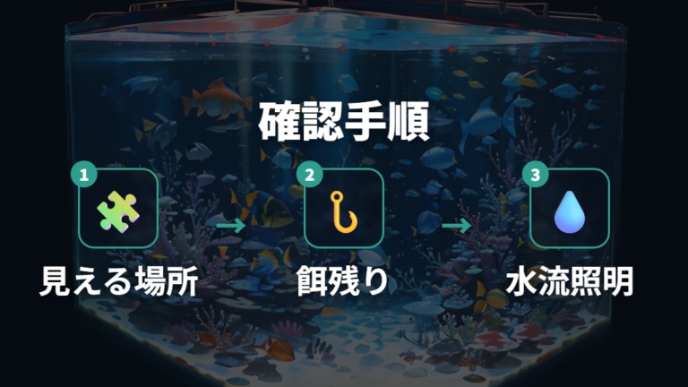 カビを防ぐ水換えとろ過管理の確認手順