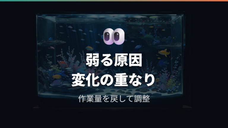 掃除後にメダカが弱る主な原因は水質急変と掃除しすぎにある