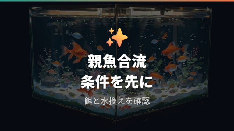 親魚と一緒にする前に餌や水換えのしやすさを確認する