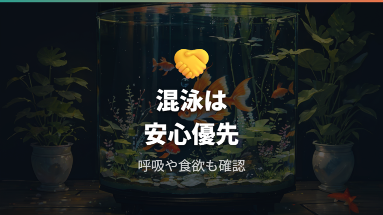 混泳とストレスを減らしてフナっぽい変化を防ぐ