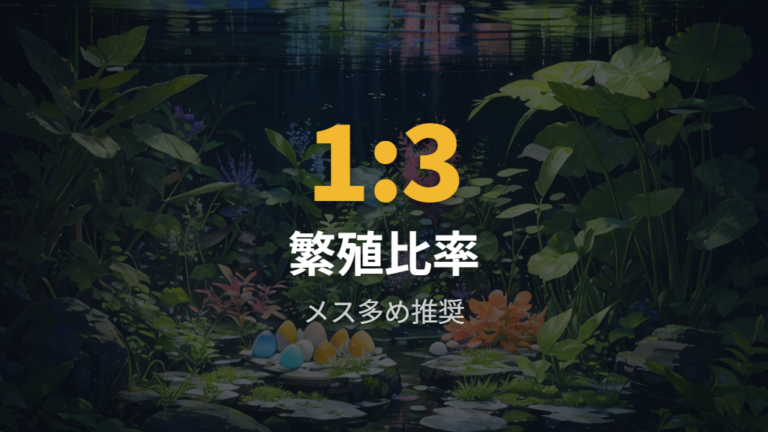 繁殖向けのオスメス比率はメス多めで考える