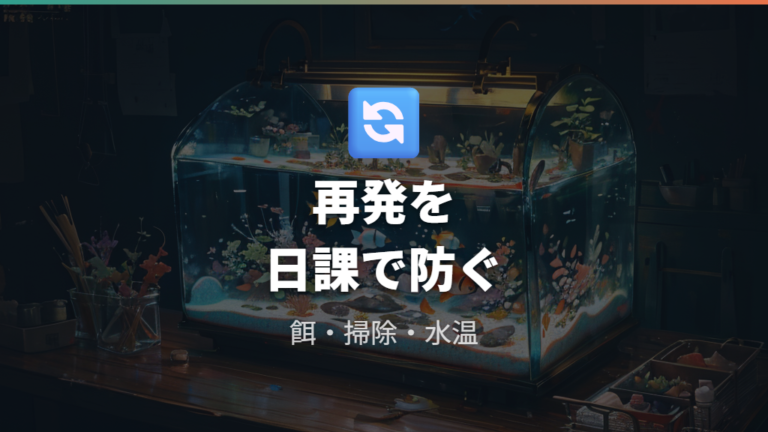 再発を防ぐ水槽管理のコツを習慣化する