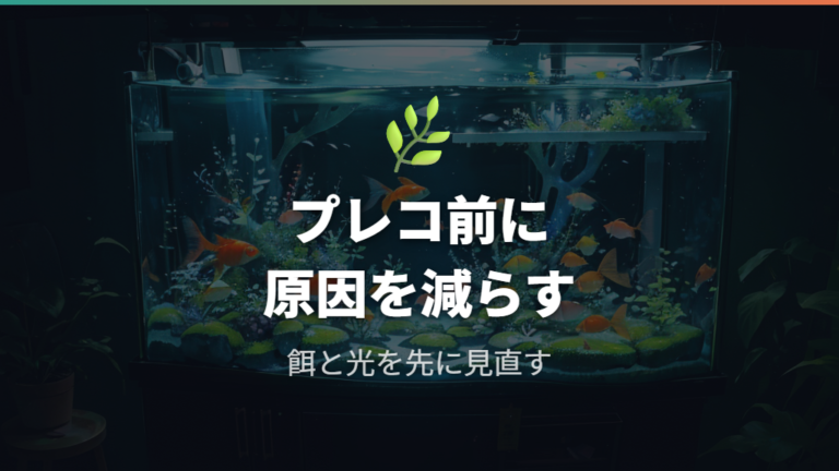 金魚とプレコ混泳は本当にコケ取り目的で必要か