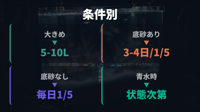 水換えの頻度と一度に替える量を飼育条件別に整理する