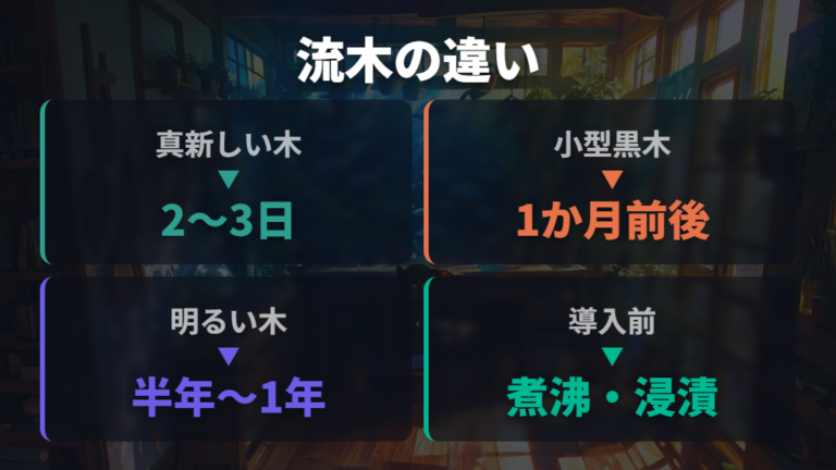 流木に出る白い膜の対処は種類と下処理で期間が変わる