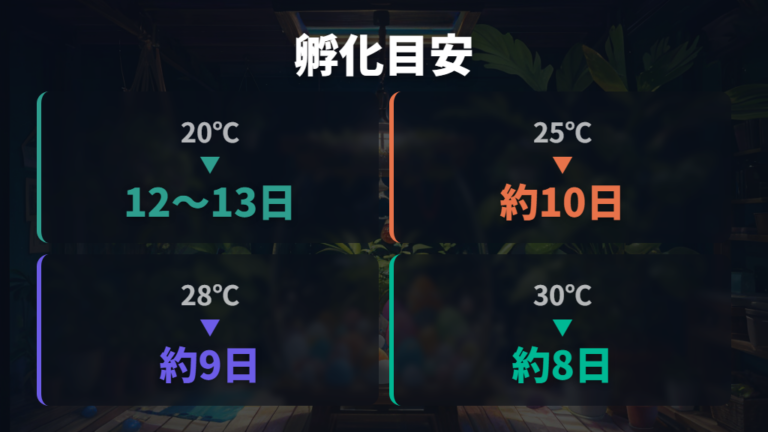 卵の管理と孵化までの日数を積算温度で読む