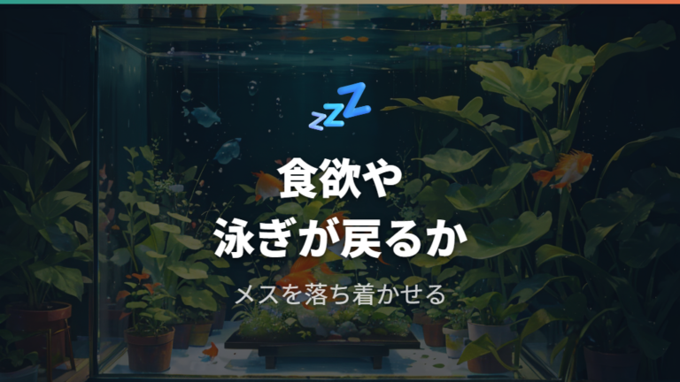 産卵後のメスを休ませる見方