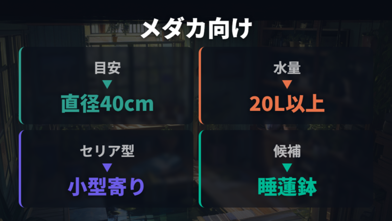 睡蓮鉢を候補にする目安は水量と置き場所で見る