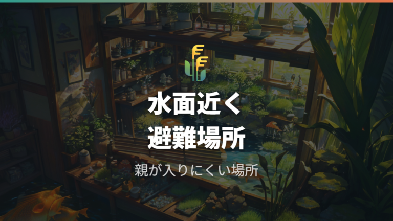 稚魚を守る隠れ家の工夫に浮き草や細かい葉を使う