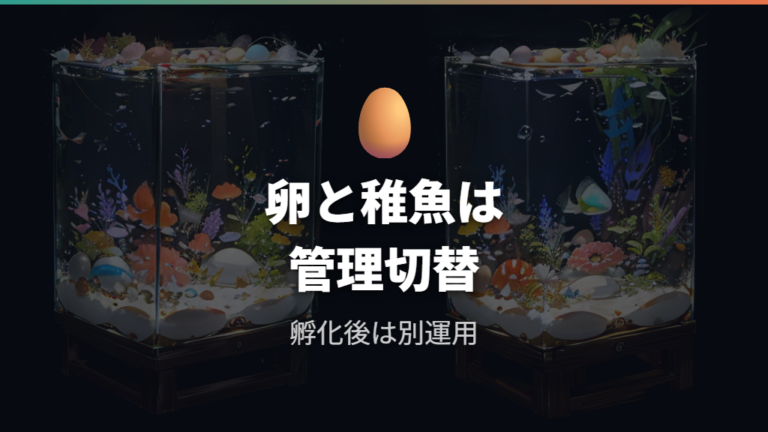 卵と稚魚で水道水の扱いを切り替える