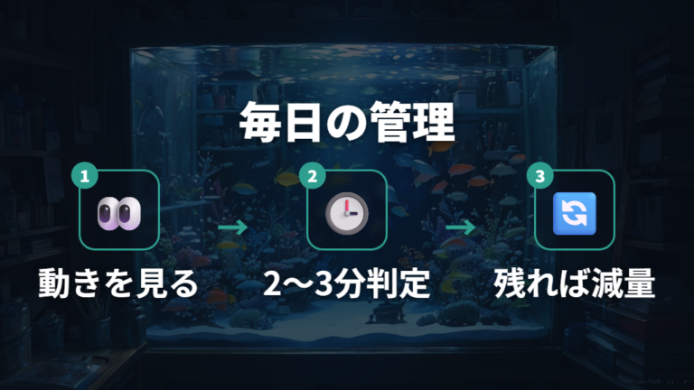 食べ残しと水質悪化を防ぐ日々の管理