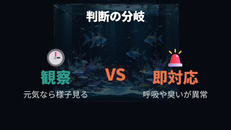 白濁りで放置してもいい場合とすぐ動く場合の違い