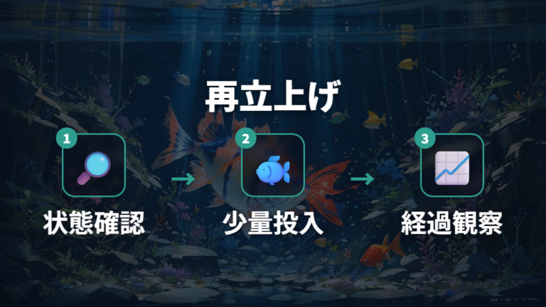 リセット後の再立ち上げで魚を弱らせない