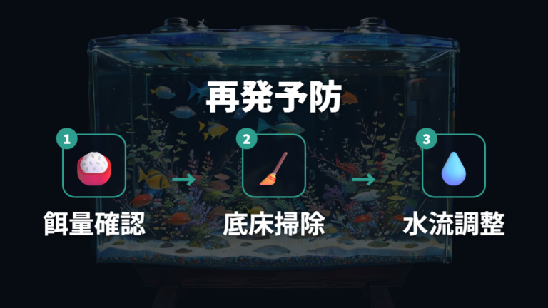 白濁りを繰り返さない水換えとろ過の見直し方