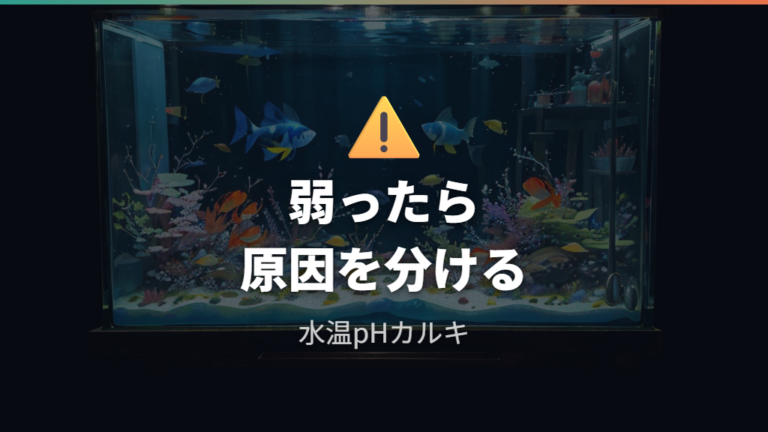 掃除後にエビが弱る原因は水質急変と汚れの蓄積