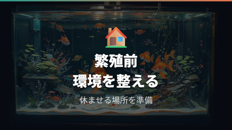 繁殖を考えるなら性別確認の後に隔離と準備を考える