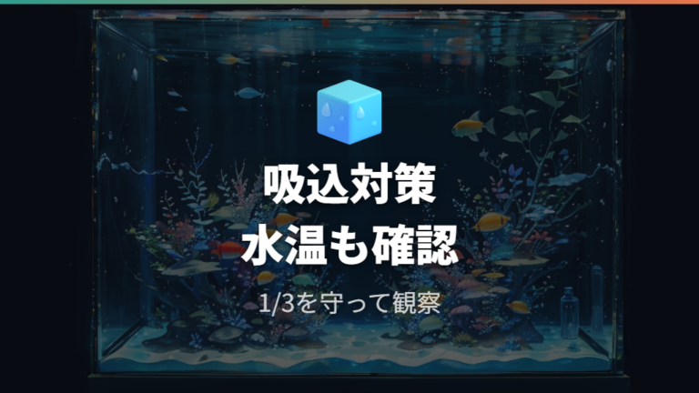 魚を吸い込まないための対策と水温ショック予防